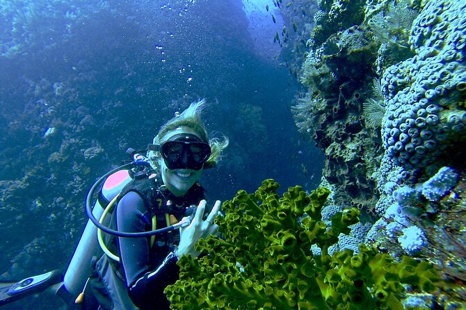 Two Tank Morning Scuba Dive - The two-tank plan: coral reef and lava tube scenery, all in one outing