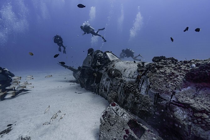 Two Tank Wreck and Drift Dive in Oahu - The 7:30 am logistics that keep the day on track
