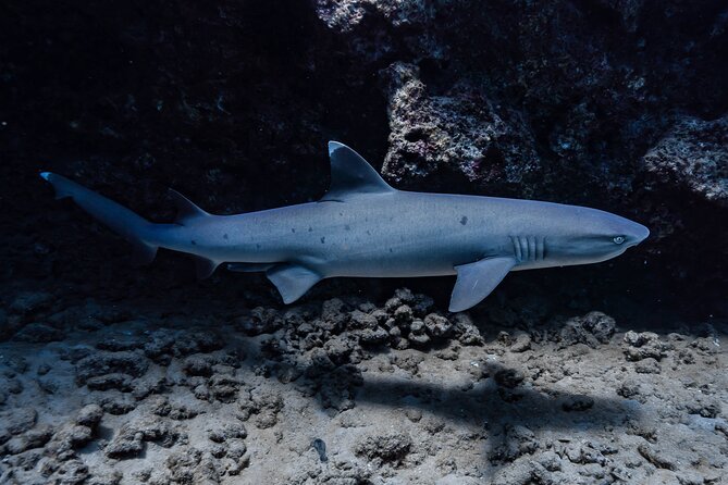 Two Tank Wreck and Drift Dive in Oahu - How the two-tank plan works step-by-step
