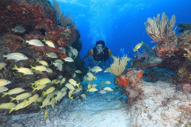 Two Tanks Scuba Diving for Beginners in Cancun - Training First: How You Get Ready Without Certification