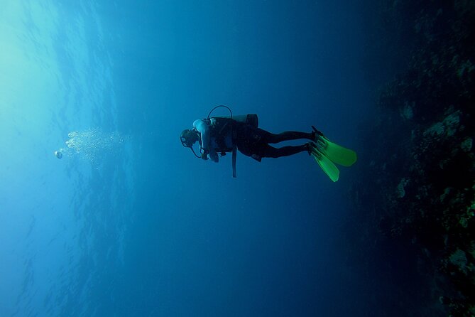 Under a sea of adventures, unforgettable diving. - Key things to know before you book
