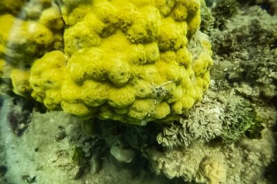 Under a sea of adventures, unforgettable diving. - Getting going: meeting point, group size, and the morning rhythm