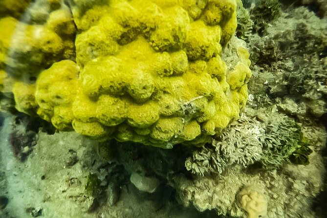 Under a sea of adventures, unforgettable diving. - Getting going: meeting point, group size, and the morning rhythm