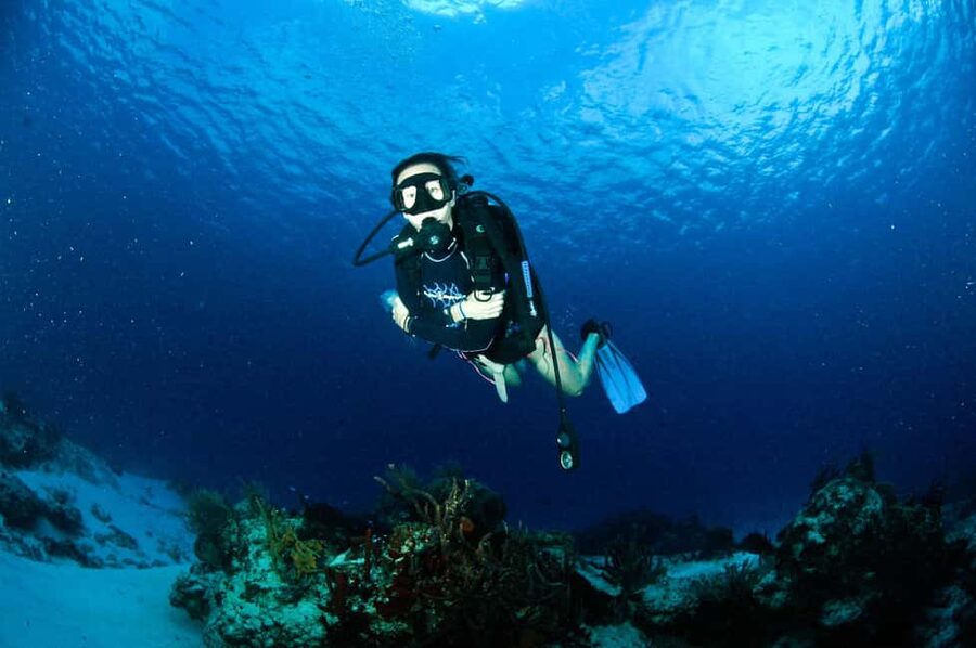 Underwater Museum Musa : SCUBA DIVING FOR BEGINNERS - Key Things I’d Watch For Before You Go