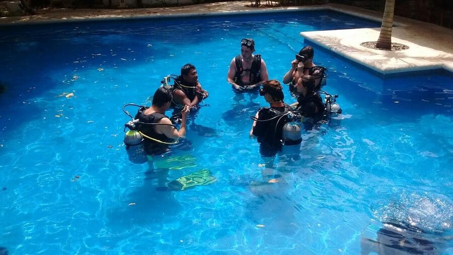 Underwater Museum Musa : SCUBA DIVING FOR BEGINNERS - Who This Beginner Experience Fits Best (and Who Should Skip It)