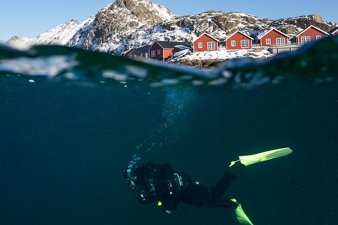 Unique Scuba Diving Experience - Your cold-water setup: gear, suits, and comfort checks