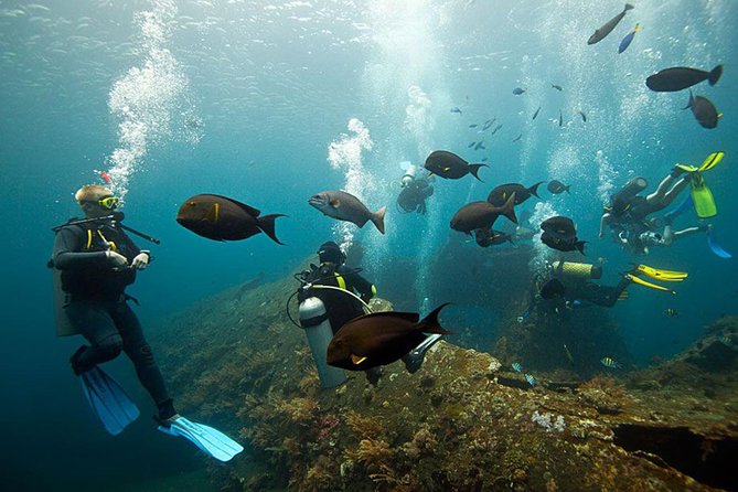 USS Liberty Shipwreck Scuba Diving at Tulamben Bali - The Day’s Flow: 8:00 Start, Door-to-Door Transfer, and Two Sessions