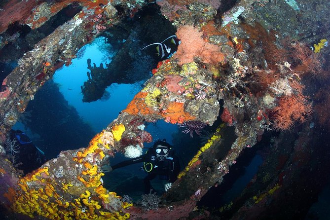 USS Liberty Shipwreck Scuba Diving at Tulamben Bali - Lunch Break: Balinese Meal, Coffee and Tea, and a Real Reset