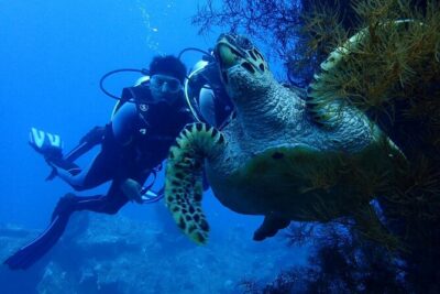 USS Liberty Shipwreck Scuba Diving at Tulamben Bali - Underwater Session 1: A Fast Trip to the Shipwreck Structure