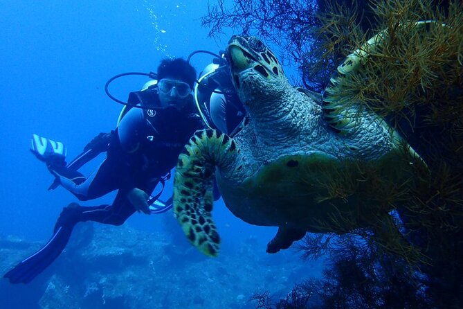 USS Liberty Shipwreck Scuba Diving at Tulamben Bali - Underwater Session 1: A Fast Trip to the Shipwreck Structure
