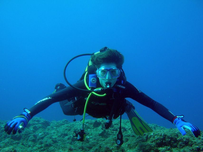Vila Franca Do Campo: Introduction to Scuba Diving Tour - Key things I’d watch for before you book