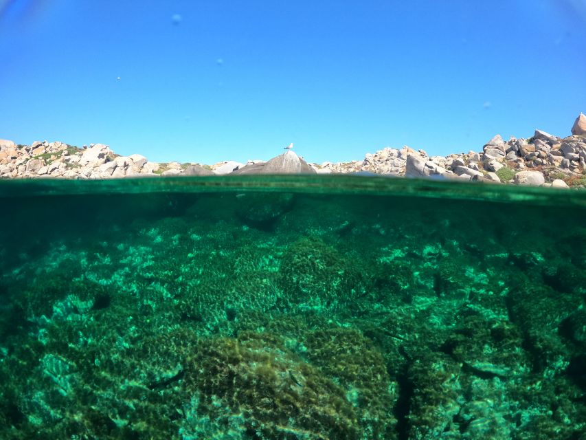 Villasimius: Scuba Dive in Capo Carbona without Certificate - Key points worth knowing before you go