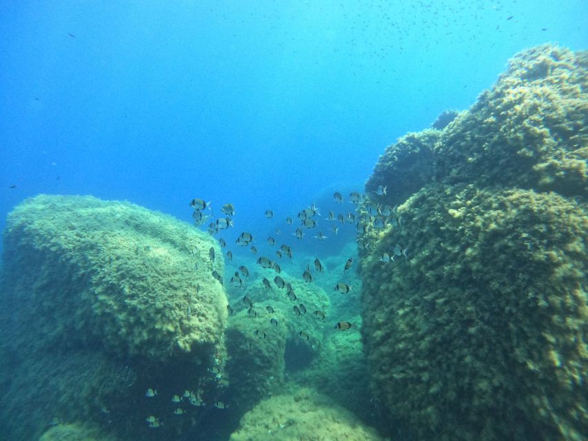 Villasimius: Scuba Dive in Capo Carbona without Certificate - Check-in and gear: you’ll know what to do before you enter the water