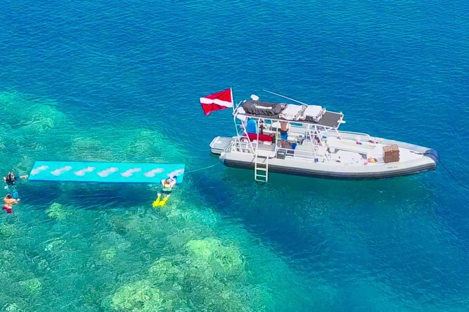 VIP Aloha Nui Snorkel Adventure w/ optional SCUBA from Lahaina - Snorkeling around coral gardens: what you’re likely to see (and how to enjoy it)