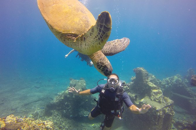 VIP Aloha Nui Snorkel Adventure w/ optional SCUBA from Lahaina - Optional SCUBA: adding underwater time without feeling left behind