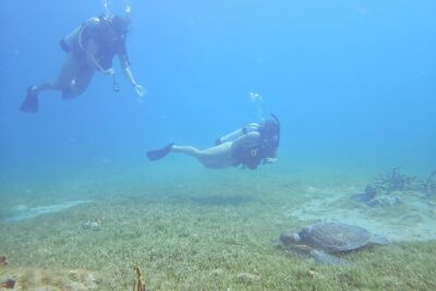 VIP Private Guided Scuba Diving/Snorkeling Excursion - Snorkeling: Gear Included, Focus on What You’ll Actually See