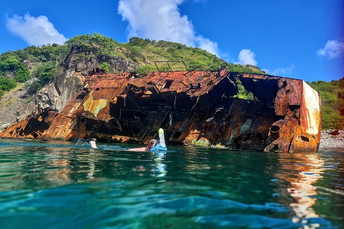 VIP Private Guided Scuba Diving/Snorkeling Excursion - For Families and Mixed Groups: A Rare Setup Where Everyone Enjoys the Same Day