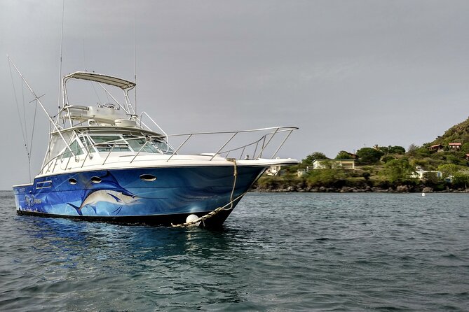 VIP Private Guided Scuba Diving/Snorkeling Excursion - Price and Value: What $600 Buys You, and Where You’ll Add On
