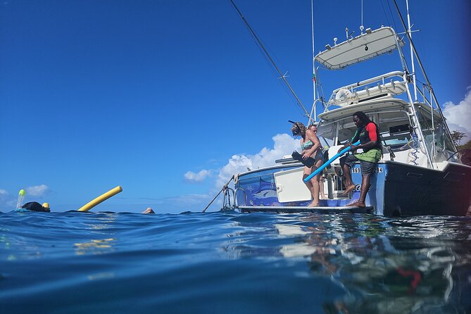 VIP Private Guided Scuba Diving/Snorkeling Excursion - Logistics That Matter: Pick-Up Options, Private Timing, and Weather Reality