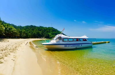 Visit Cham Islands & Snorkelling & Scuba Diving - Lang Beach and the Marine Sanctuary fossil display