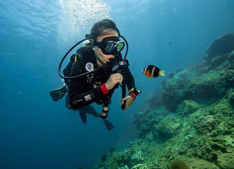 Visit Cham Islands & Snorkelling & Scuba Diving - Chong/Ong beach: snorkeling, coral, and starfish chances