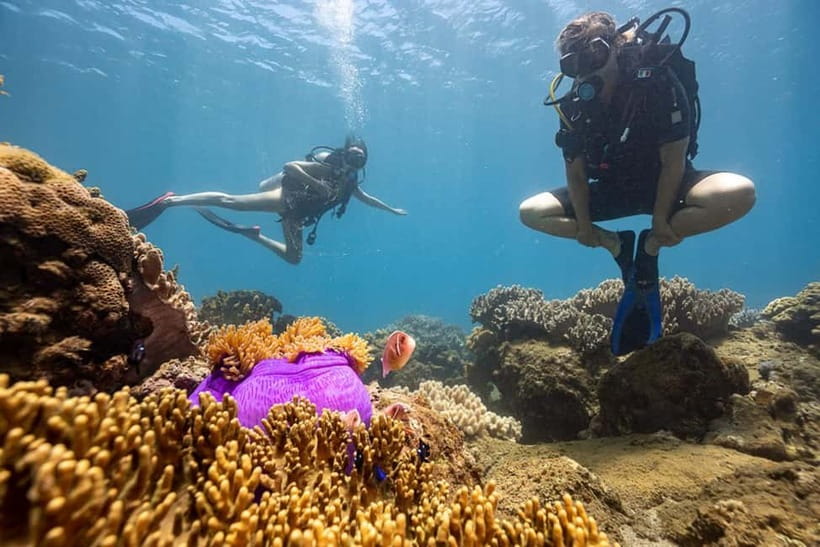 Visit Cham Islands & Snorkelling & Scuba Diving - Seafood lunch, showers, and the long beach exhale
