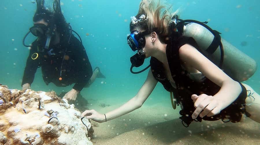 Waikiki: Honolulu Beginner Scuba Diving with Videos - Waikiki’s Magic Island Lagoon: why this spot works for a first time