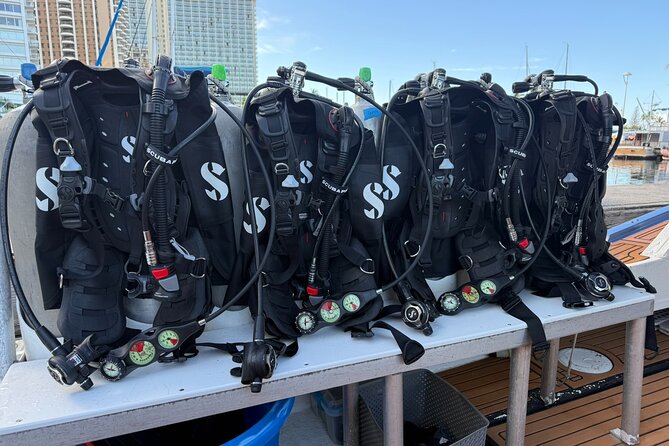 Waikiki Two Tank Guided Scuba Diving Adventure: Certified Diver - Waikiki Two Tanks: A Small-Group Day That Feels Easier