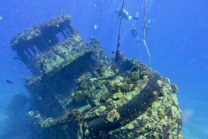 Waikiki Two Tank Guided Scuba Diving Adventure: Certified Diver - Two Underwater Sessions: Reefs, Historic Wrecks, and the Pace of Your Day