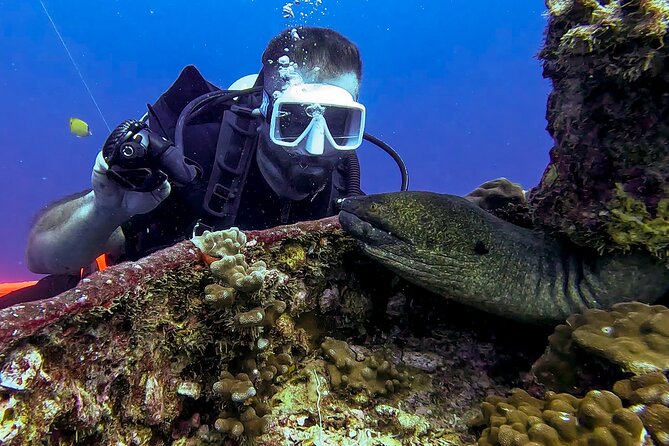 Waikiki Two Tank Guided Scuba Diving Adventure: Certified Diver - Who Should Book This Waikiki Charter (and Who Should Skip It)