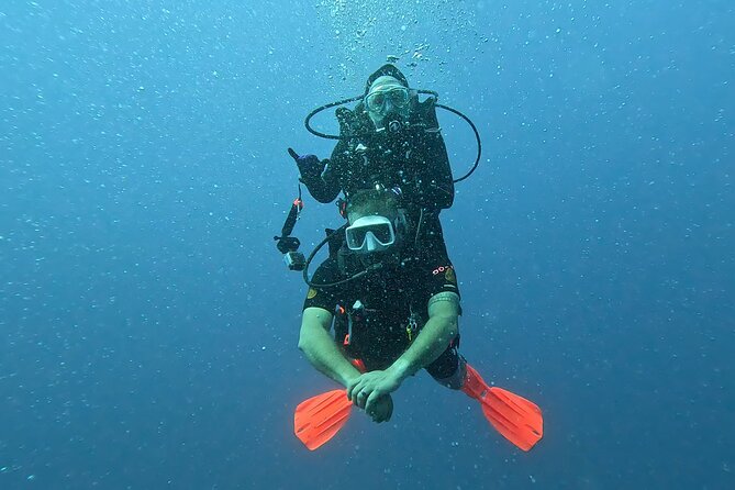 Waikiki Two Tank Guided Scuba Diving Adventure: Certified Diver - Should You Book the Waikiki Two-Tank Underwater Adventure?