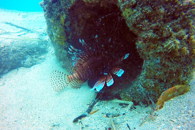 Wave Break Island Scuba Diving on the Gold Coast - Shallow-Water Training With a PADI Instructor