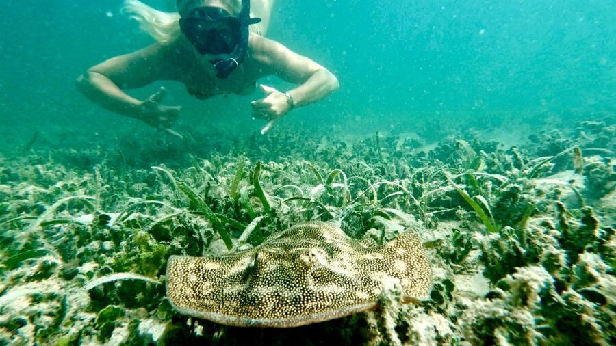 West Palm Beach: Beginner Scuba Diving Adventure with Videos - What’s included (and what you’ll need to bring)