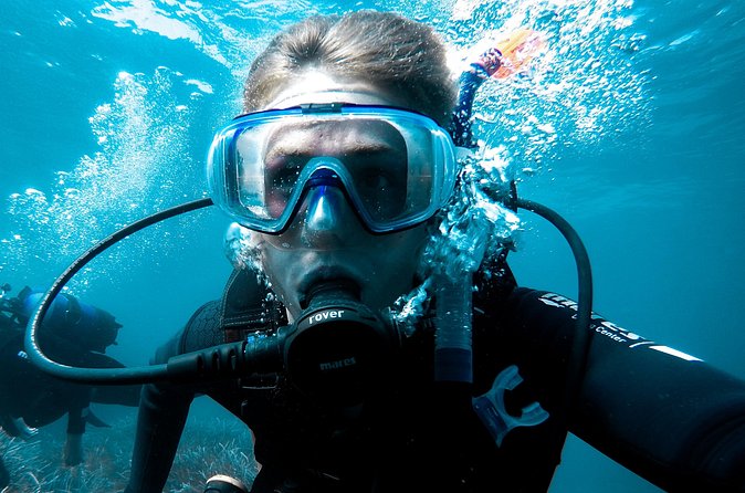 Whale and Dive Combo Tour in Los Cabos - Guide style, safety, and why the small group matters
