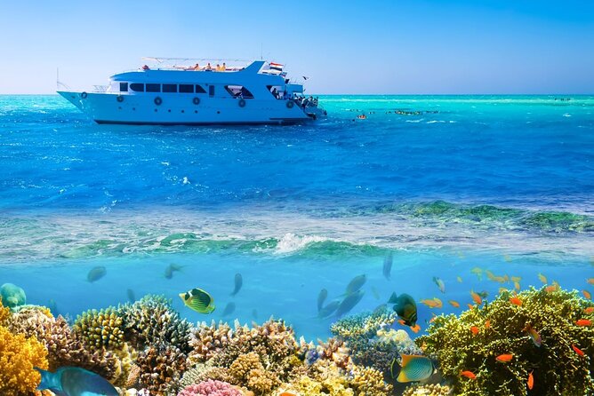 White Island & Ras Mohamed Boat Trip & Diving , lunch from Sharm - White Island: the second water stop that keeps the day from dragging