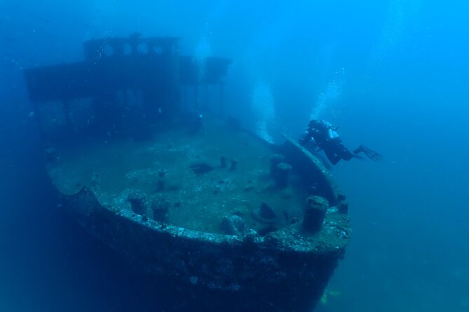 Wreck and Bridge Span Dive for Certified Divers - Key Things I’d Note Before You Go