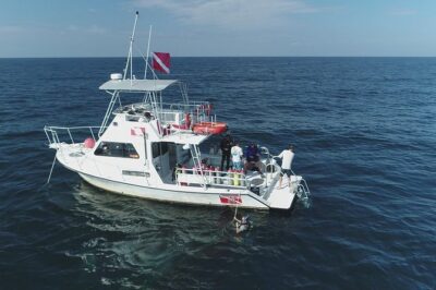 Wreck and Bridge Span Dive for Certified Divers - What You’ll See: Shipwreck Life and Bridge-Span Structures