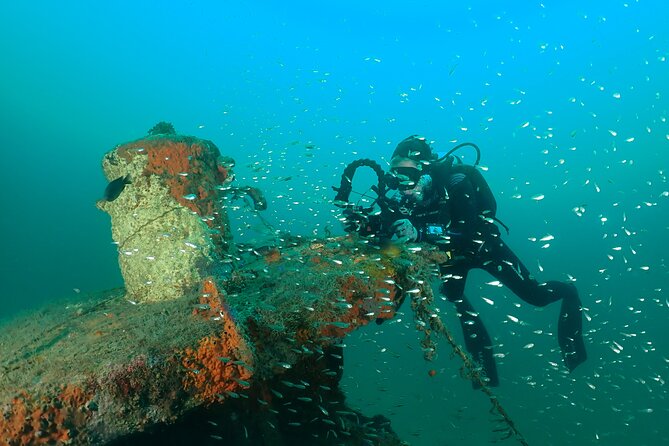 Wreck and Bridge Span Dive for Certified Divers - Price and Value: Is $115.36 a Fair Deal?