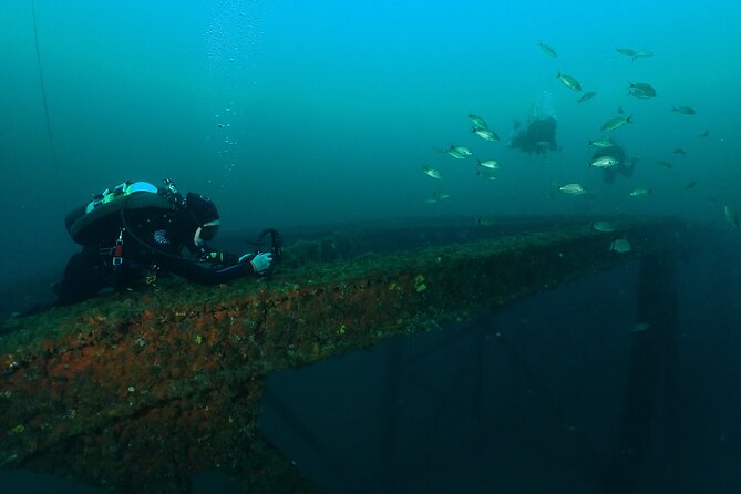 Wreck and Bridge Span Dive for Certified Divers - Conditions Off Panama City Beach: Visibility, Current, and Expectations