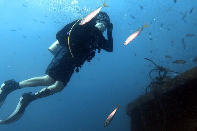 Wreck and Bridge Span Dive for Certified Divers - Who This Trip Fits Best (And Who Should Think Twice)