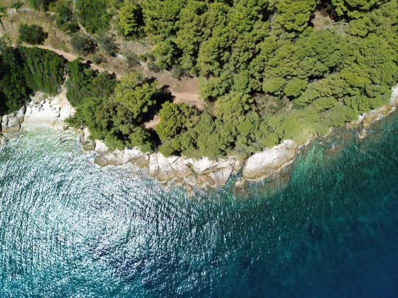 Zadar: 3 Islands Speedboat Tour with Drinks and Diving - The Ošljak island hour: guided context, then freedom