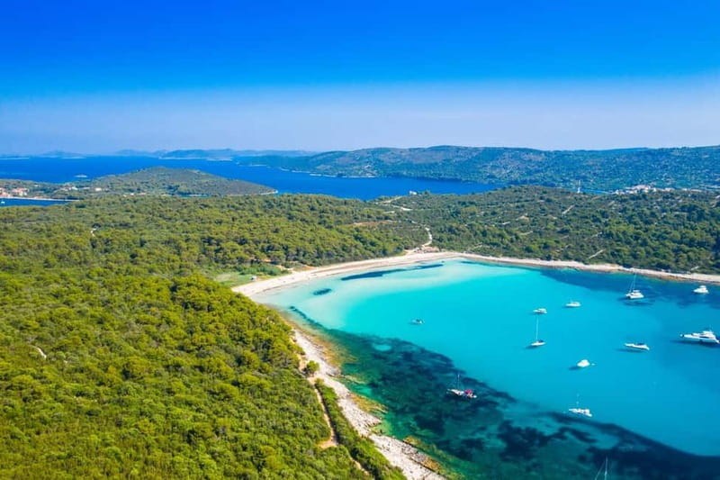 Zadar: Sakarun Beach & Dugi Island Speedboat Tour w/Diving - Dugi Otok Swimming Stop (1.5 Hours): Pine Shade Meets Open Sea