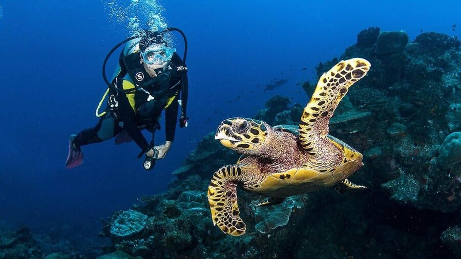 Zakynthos: Scuba Diving Experience with Underwater Photos - Key Things I’d Bet On