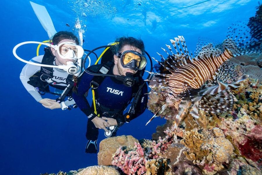 Zakynthos: Scuba Diving Experience with Underwater Photos - Zakynthos Scuba Setup: What You’re Really Signing Up For