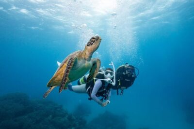 Zakynthos: Scuba Diving Experience with Underwater Photos - Your Plan in Plain Language: One Session or Two