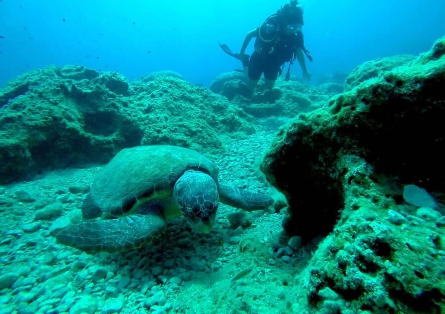 Zakynthos: Scuba Diving Experience with Underwater Photos - Underwater Photos: A Practical Memory Tool