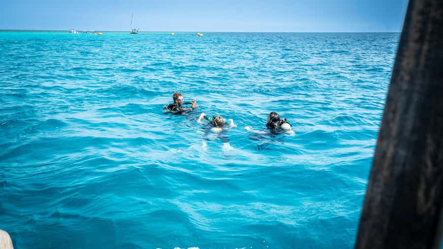 Zanzibar: 1 Day Blue Trip with 2 Stunning Scuba Dives - Practical tips for a smooth day on the water