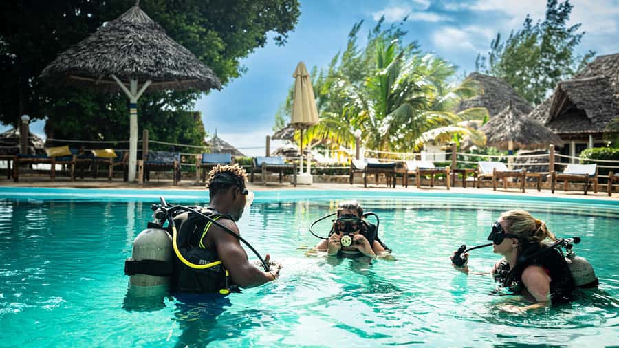 Zanzibar 1 Day Scuba Diving Course for Beginners with Lunch - Price and Value: Is $200 Worth It?