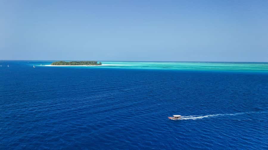 Zanzibar : 3-Day PADI Open Water Scuba Diving Adventure - Instructor quality: the difference between a checkbox and real learning