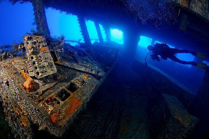 Zenobia Shipwreck Scuba Diving Trip 2x Dives - Key things that make this trip worth your time